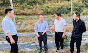 校纪委对学校扶贫工作进行监督检查